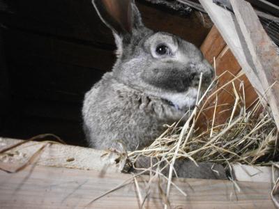 Прикрепленное изображение: P3271113.JPG